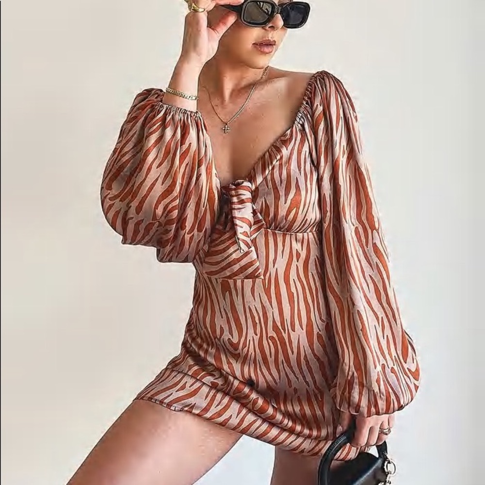NWT Boohoo Zebra Print Volume Sleeve Dress